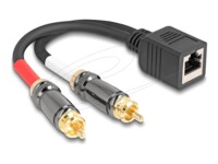 Delock Lyd adapter 20cm Sort