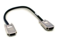 D-Link 50cm Stacking-kabel