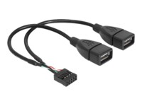 Delock USB intern til ekstern kabel 20cm