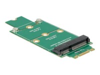 DeLOCK Adapter mSATA > M.2 NGFF Lagringskontrol