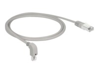 DeLOCK CAT 6a S/FTP 1m Patchkabel Grå