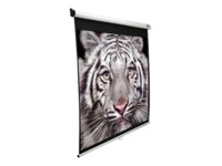 Elite Screens Manual Series M128NWX 128' Matte White