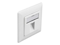Delock Keystone Wall Outlet 1 port