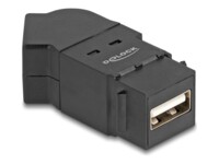 Delock USB-adapter Sort