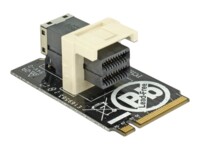 DeLOCK Adapter M.2 Key M > SFF-8643 NVMe horizontal 2242 Interfaceadapter