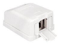 Delock Keystone Surface Mounted Box Hvid