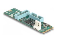 DeLOCK Interfaceadapter