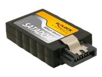 DeLOCK SSD SATA Flash Module vertical 2GB SATA-300