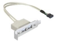 Delock Slot bracket USB-kabel 50cm
