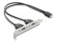 Delock USB 2.0 USB-panel Sort