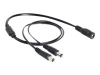 Delock Strøm-splitter 50cm