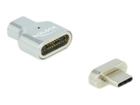 Delock Thunderbolt / USB-C adapter Sølv