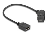 Delock DisplayPort kabel 30cm Sort