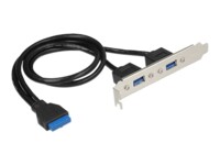 Delock Slot bracket USB-panel Sort