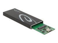 DeLOCK Ekstern Lagringspakning USB 3.2 (Gen 2) M.2 Card / SATA 6Gb/s