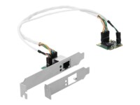 DeLock Mini PCIe I/O PCIe half size 1 x LAN Low Profile Netværksadapter PCI Express Half Mini Card 1Gbps