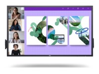 Dell P5524QT LED-bagbelyst LCD fladt paneldisplay 3840 x 2160 55'