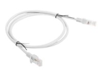 Lanberg CAT 5e Ikke afskærmet parsnoet (UTP) 1m Patchkabel Grey RAL 7035