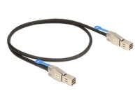 DeLOCK Serial Attached SCSI (SAS) eksternt kabel Sort 2m