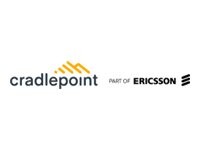 Cradlepoint NetCloud Enterprise Branch Essentials Plan Online & komponentbaserede tjenester 1 år