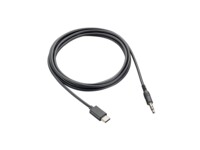 HP Poly USB-C til hovedtelefon jackstikadapter Sort