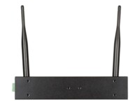 D-Link DIS-2650AP Trådløs forbindelse Sort