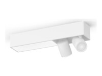 Philips by Signify Hue White and colour ambience 8720169318373 Smart belysning G Multifarvelys