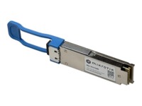MikroTik 100Gbps