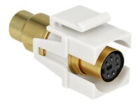 Delock Keystone module