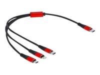 DeLOCK 3 in 1 Kun opladning Lightning-kabel 30cm