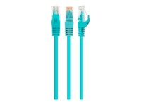 Cablexpert CAT 6 Ikke afskærmet parsnoet (UTP) 1.5m Patchkabel Grøn