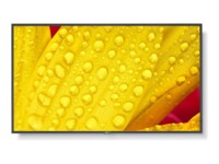 NEC MultiSync M651-2 65' Digital skiltning 3840 x 2160