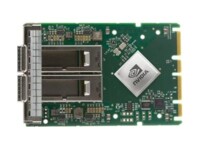 NVIDIA ConnectX-6 Dx Netværksadapter PCI Express 4.0 x16 100Gbps
