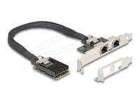 DeLock Netværksadapter PCI Express Mini Card 1Gbps