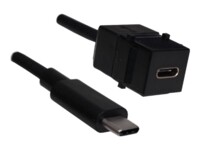 Bachmann USB 3.1 USB Type-C forlængerkabel Sort
