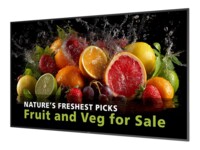 Philips 75BDL5050D 75' Digital skiltning 3840 x 2160