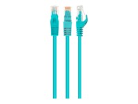 Cablexpert CAT 6 Ikke afskærmet parsnoet (UTP) 1m Patchkabel Grøn