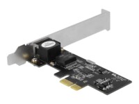 DeLock Netværksadapter PCI Express 2.1 x1 2.5Gbps