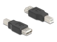 Delock USB-adapter Sort
