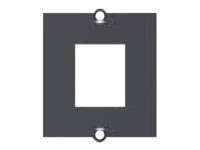 Bachmann Faceplate