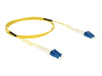 DeLOCK Netværkskabel Fiberoptik OS2 1m