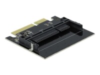 DeLOCK Interfaceadapter