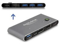 DeLock KVM / USB switch
