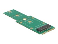 DeLOCK Adapter M.2 NGFF > mSATA Lagringskontrol