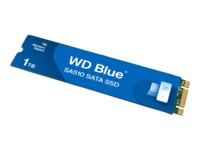 WD Blue SA510 SSD WDS100T3B0B 1TB M.2 Serial ATA-600
