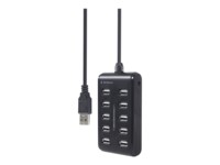 Gembird UHB-U2P10P-01 Hub 10 porte USB