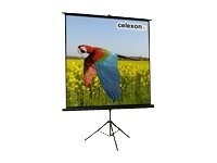 Celexon Economy tripod screen 104'