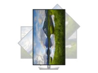 Dell Pro Plus P3225QE 32' IPS 3840 x 2160 (4K) HDMI DisplayPort USB-C 100Hz
