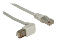 DeLOCK CAT 5e Kabel med afskærmning med folie og kobberfletning (SFTP 50cm Patchkabel Grey