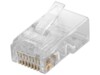 RJ45 plug, CAT 5e UTP unshielded
